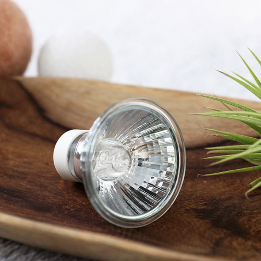 전자 방향제 전자식 디퓨저 전용 전구