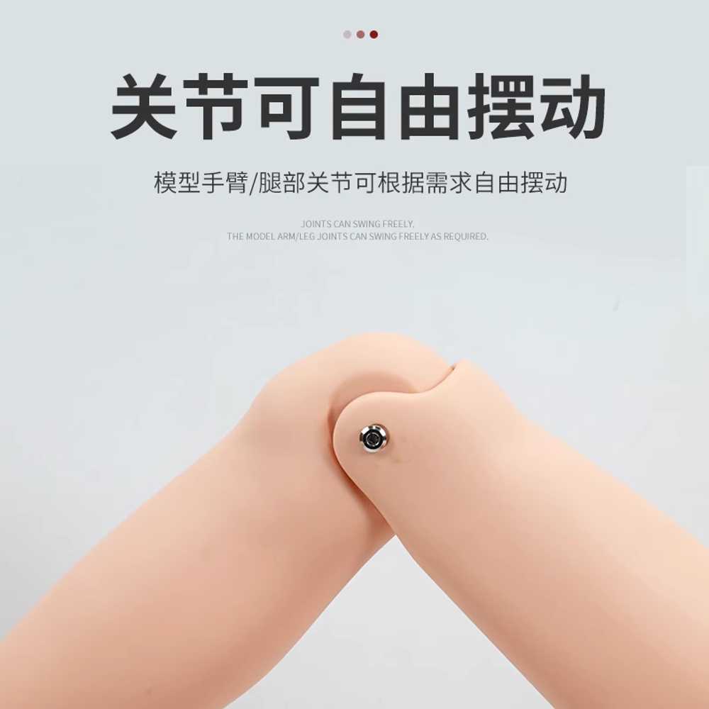 간호실습 인체 모형 올인원 도뇨기 모델 마네킹 도구 A A 기본 남성 간병인 - 상세 이미지 4