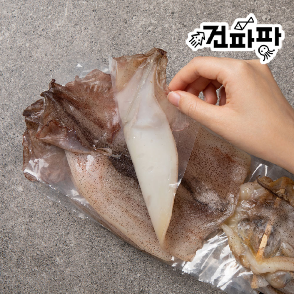 [품질보증]원양산 반건조오징어 마른오징어 피데기 피대기 파지 오징어입