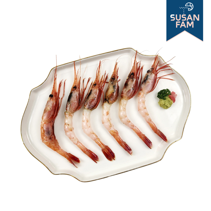 국내산 단새우 1kg 새우회 횟감용 홍새우 아마에비 홈마카세 - 상세 이미지 4