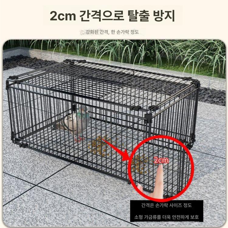 조류 트랩 까치 덫 케이지 포획 까마귀 새 비둘기 틀 60x40x26 2면충격문 - 상세 이미지 3
