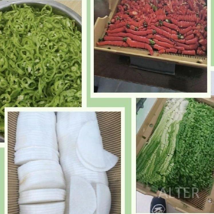 고추 써는 기계 대파 탕파기 식당 슬라이서 야채 - 상세 이미지 4