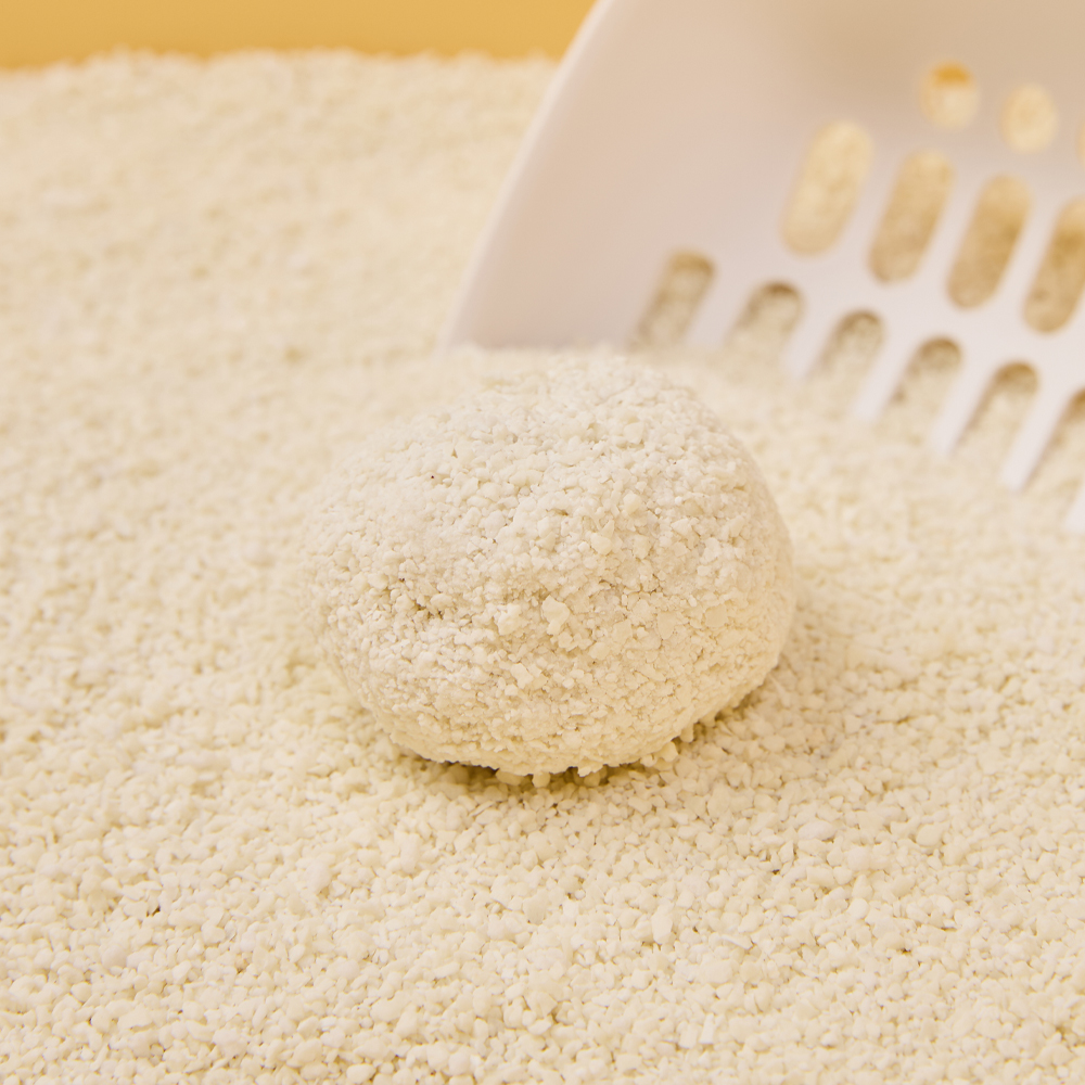 3651 퀵클럼핑 카사바 고양이 모래 4kg X 2개입(1박스)