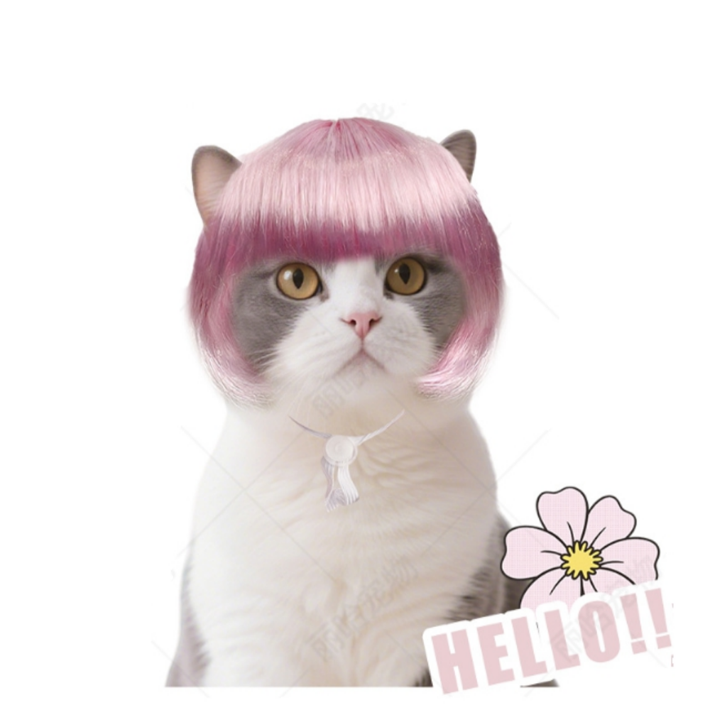 위드레오 강아지 고양이 할로윈 가발 크리스마스 코스튬 핑크단발 - 상세 이미지 3