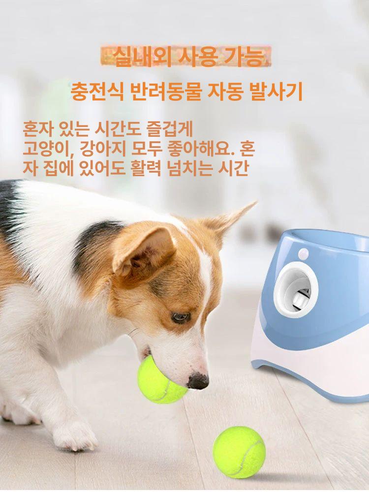 강아지 셀프 공놀이 움직이는 공던지는 공던지는기계 오렌지 3개 - 상세 이미지 3
