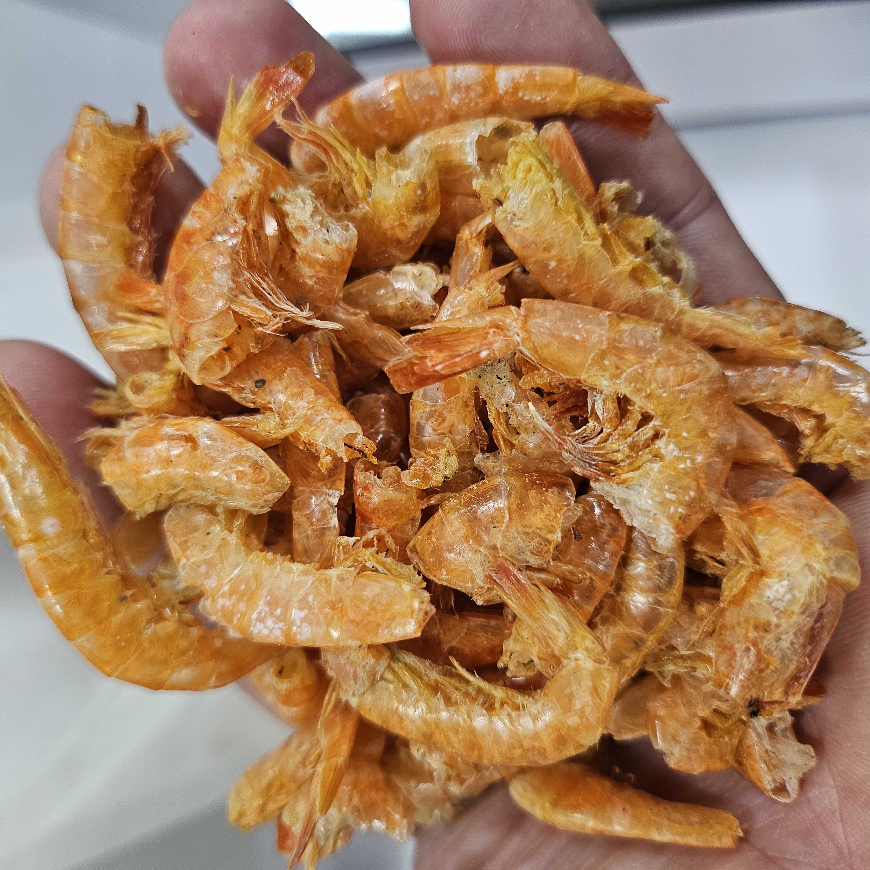 바다안 두절새우 중국산 500g/1kg 건새우 업소용 식당용 - 상품 이미지