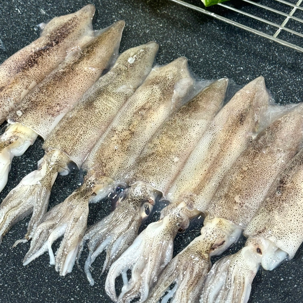파인밀 제철 급냉 통찜용 총알한치 500g 이미지 2