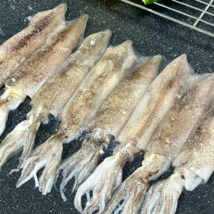 파인밀 제철 급냉 통찜용 총알한치 500g 맛있게 먹은 솔직 후기 - 상품 이미지 2