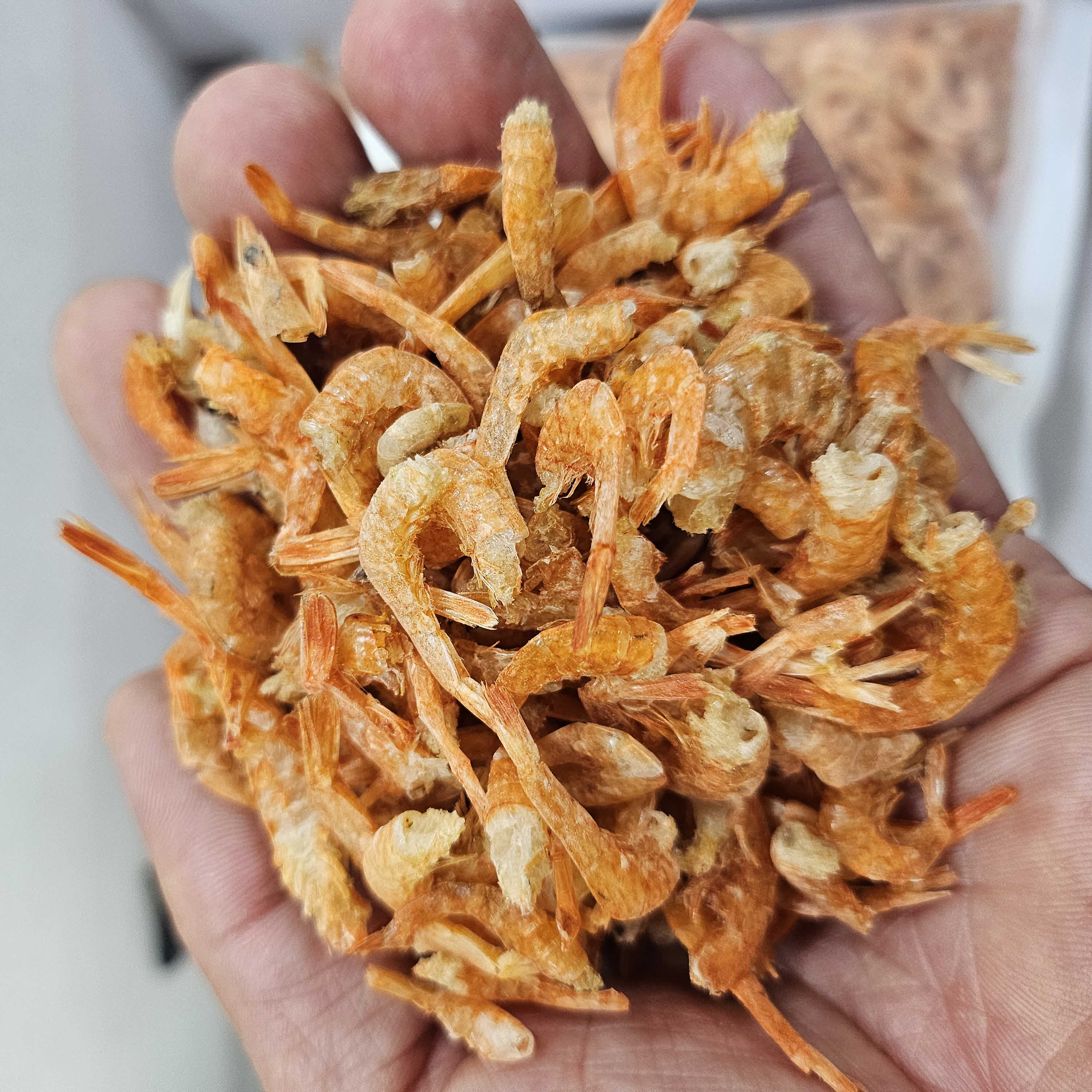 바다안 두절새우 중국산 500g/1kg 건새우 업소용 식당용 - 상세 이미지 2