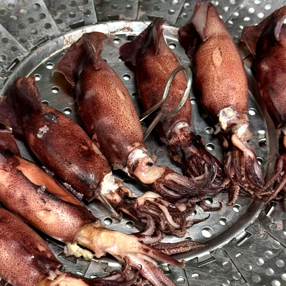 파인밀 제철 급냉 통찜용 총알한치 500g 이미지 3