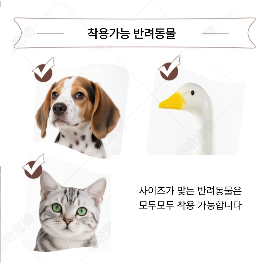 코스튬 활용 팁 이미지 1