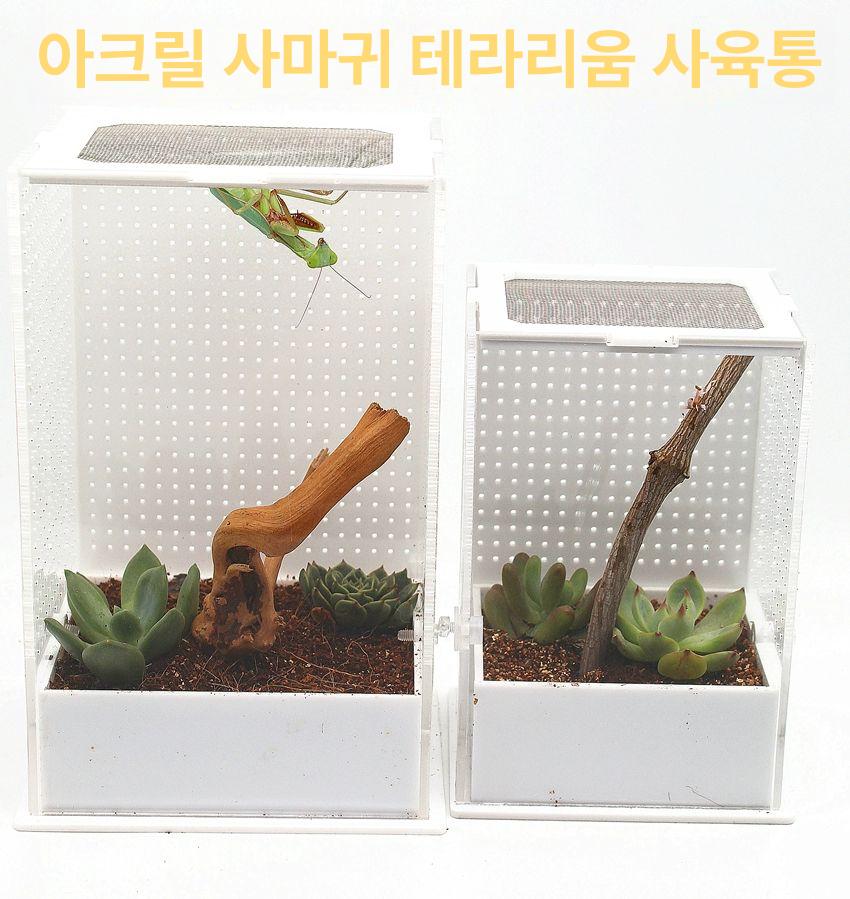 사마귀 사육장 왕사마귀 키우기 파충류 아크릴 케이지 미니 아크릴 G자형 보습면 포함 - 상세 이미지 3