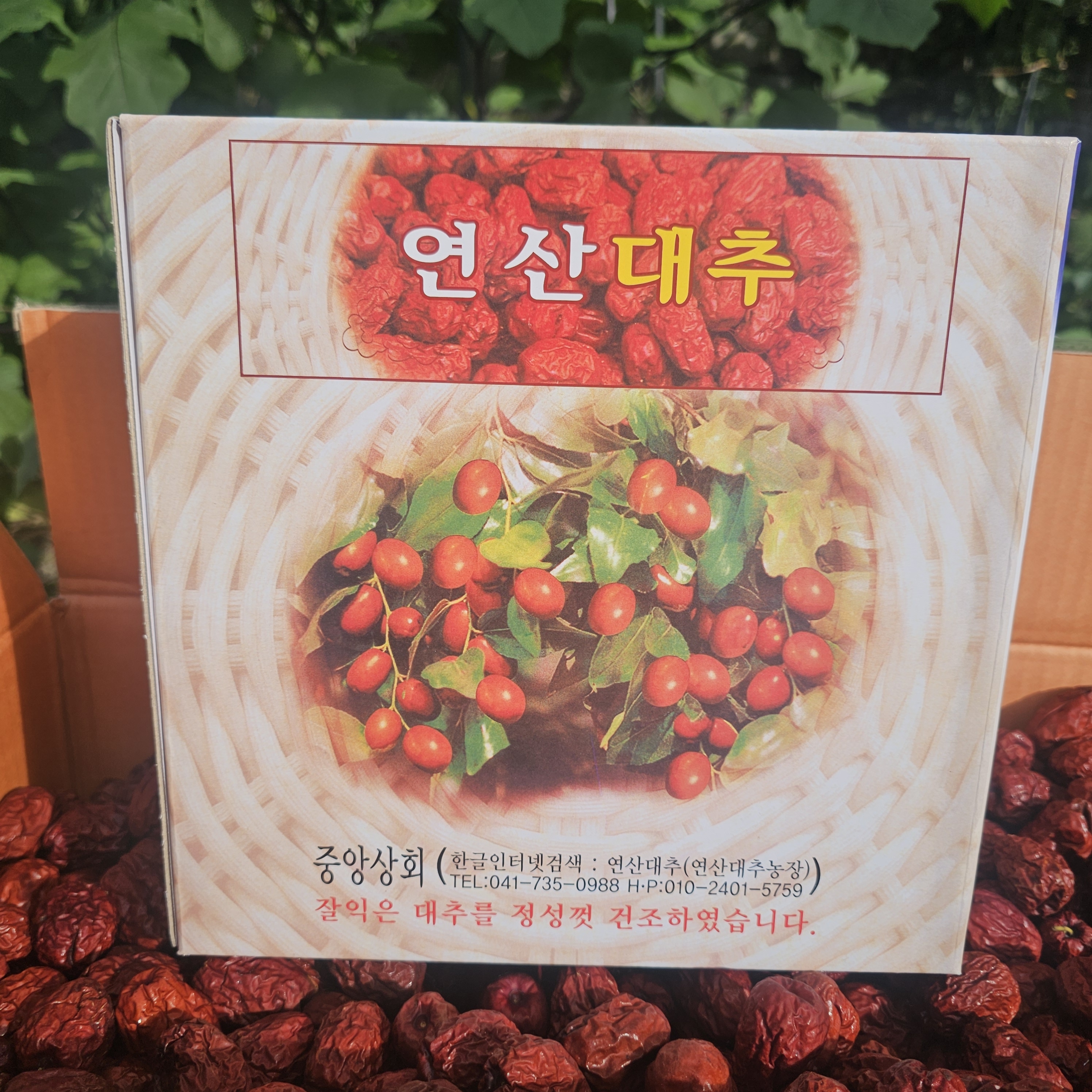 2025년 국내산 충남연산 햇 건대추 10kg 업소용 대추차 - 상세 이미지 2