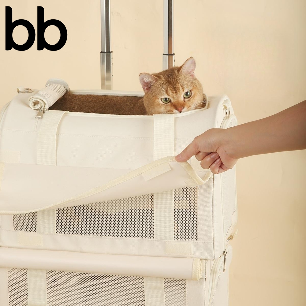 펫캐리어 고양이 2단 산책가방 접이식 켄넬 트레블 강아지 투명 애견 대형견 기내용 반려견 A - 상세 이미지 3