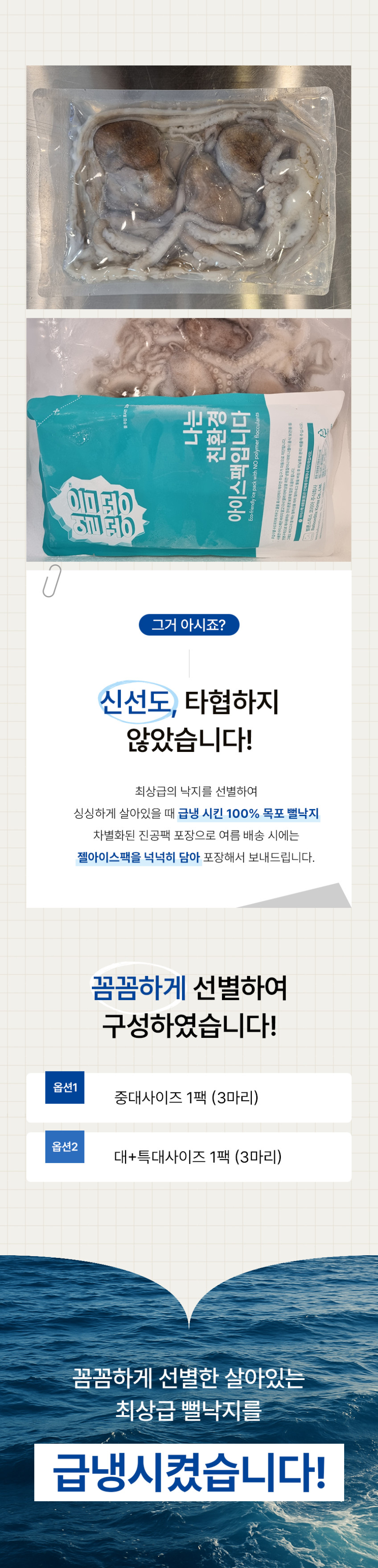 살아있을때 급냉시킨 뻘낙지 목포 냉동낙지 판매처 상세 정보 이미지 4