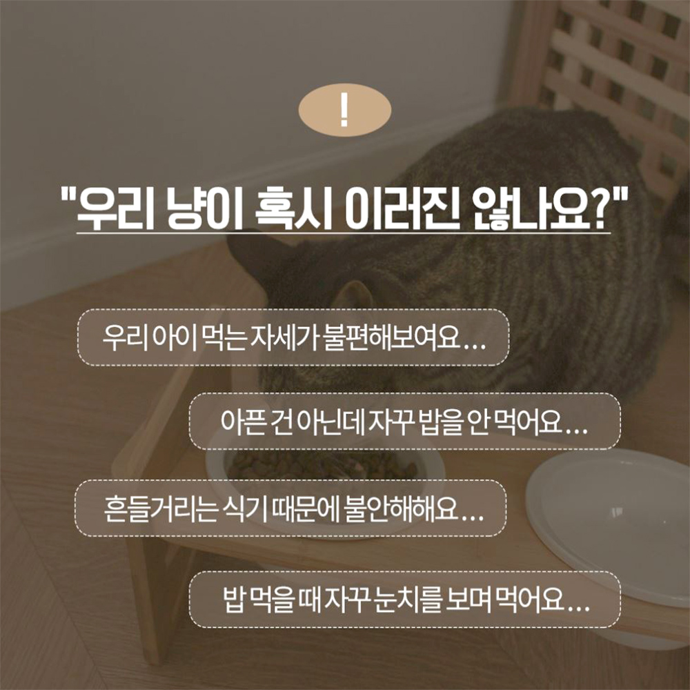 반려동물 고양이 밥그릇 물그릇 높이조절 식기 - 상세 이미지 2