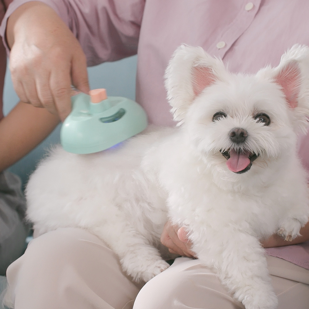 펫미스트 원터치브러쉬 UV 램프 살균 탈취 빗질 올인원 3중 기능 전용탈취제 강아지 고양이 - 상세 이미지 2