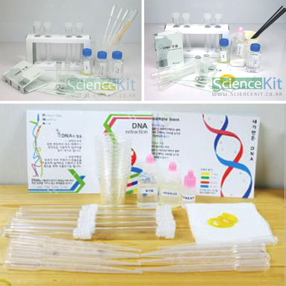 dna 추출 실험 디엔에이 키트 브로콜리 식물 동물세포 생물 생명과학 - 상품 이미지