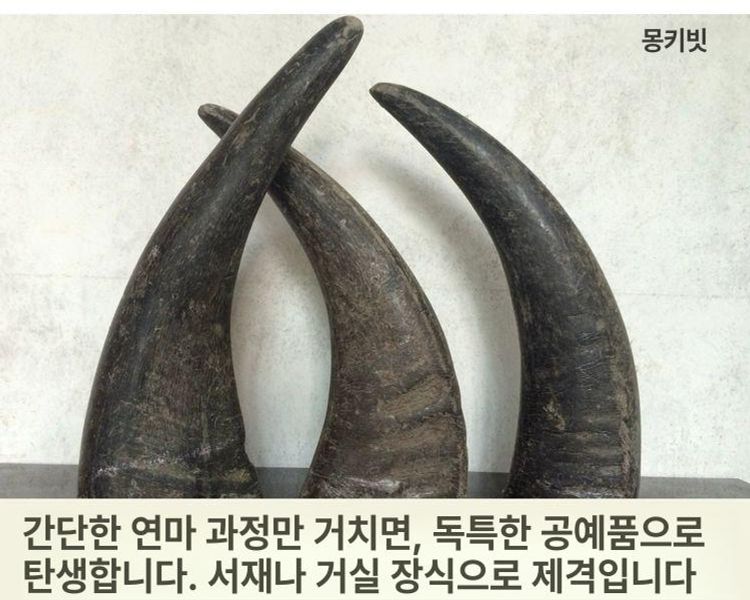 괄사 마사지 경락 물소뿔 조각 재료 지압봉 공예 폭 6~8cm 각 9개 태일 - 상세 이미지 4