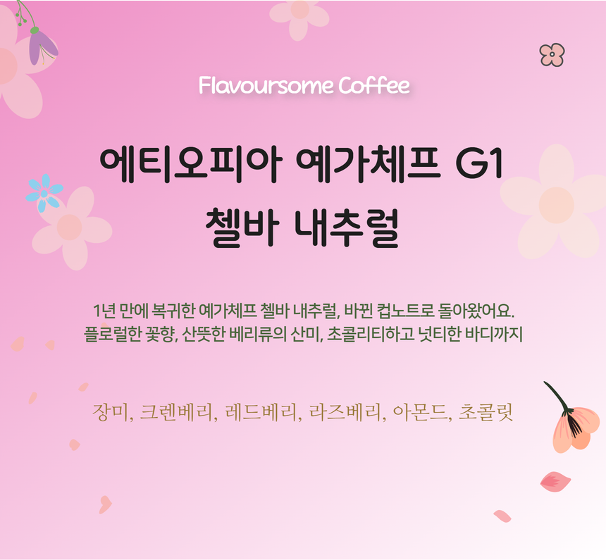 에티오피아 예가체프 G1 첼바 내추럴 - 상품 이미지