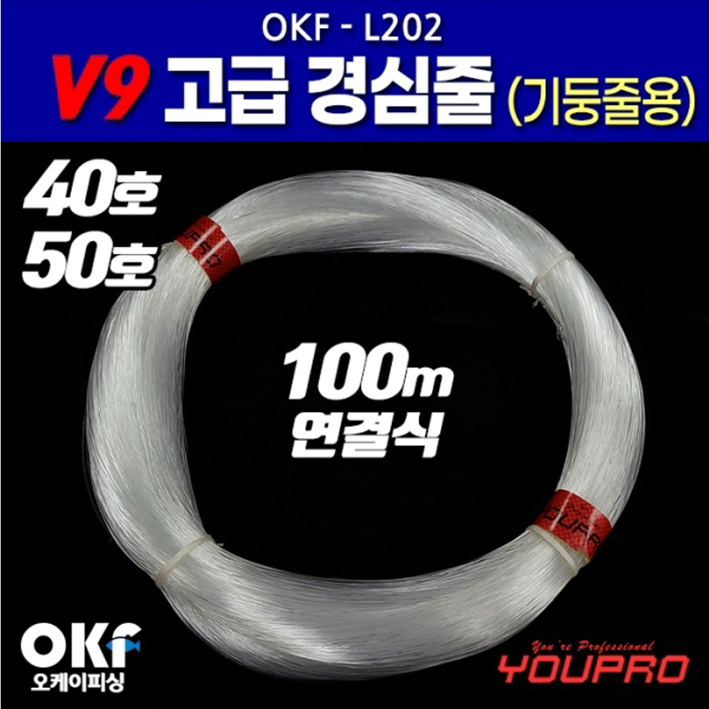 수제 심해 갈치 낚시 투명 자작 채비 기둥줄 줄 L202 V9 100m - 메인 이미지