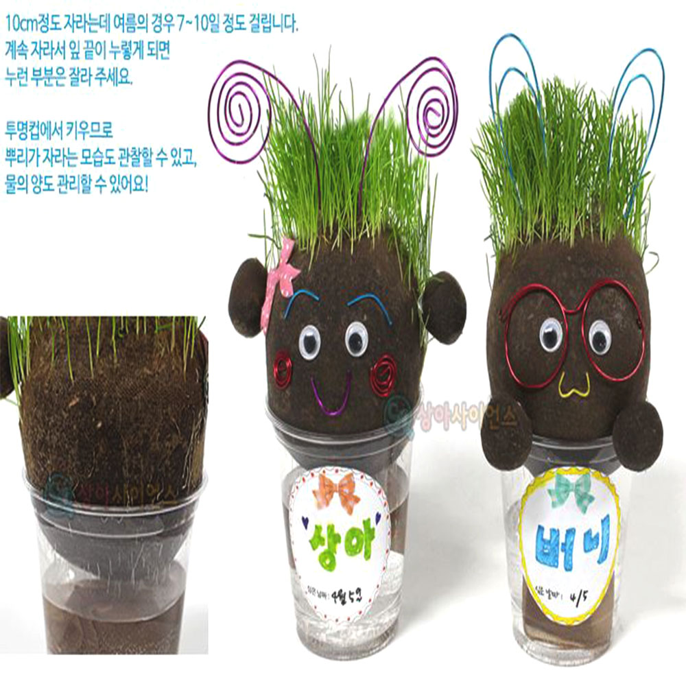 잔디인형 5인세트 실내 베란다 텃밭 식물키우기 유치원 어린이선물 감성화분키트 발아 창의력 - 상세 이미지 4