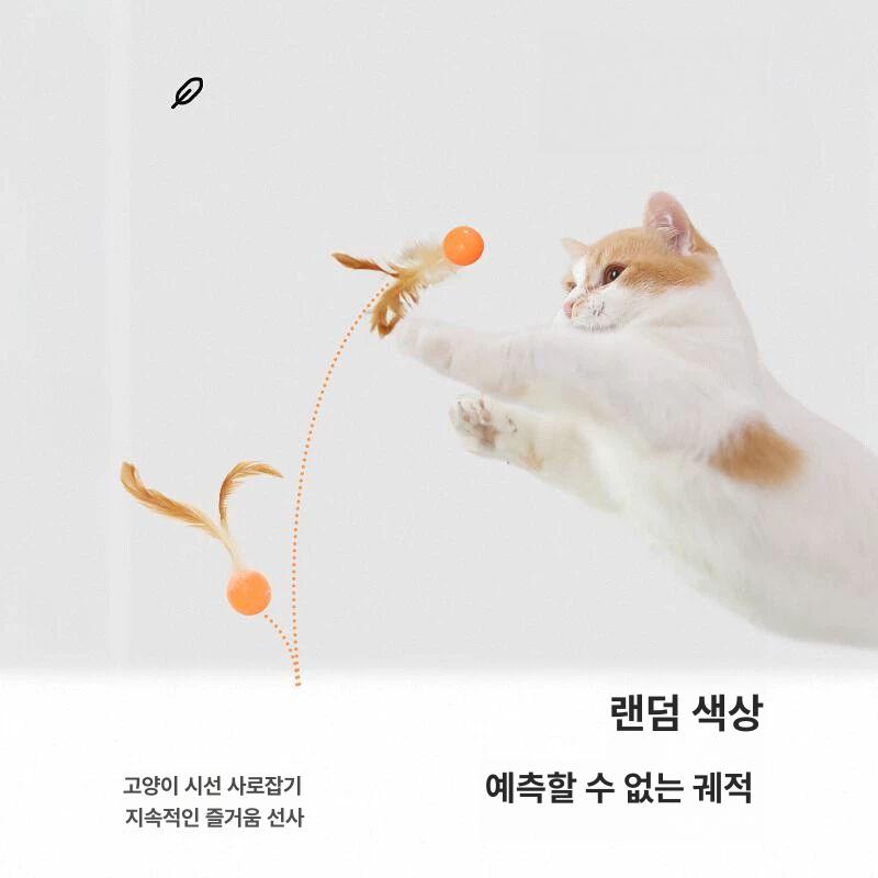 고양이 장난감 깃털 보존 알튀김 놀이 볼 피단 축구공+블루볼+배구공 - 상세 이미지 2
