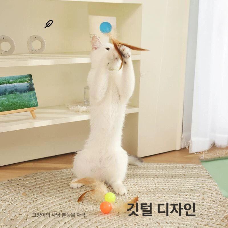 고양이 장난감 깃털 보존 알튀김 놀이 볼 피단 축구공+블루볼+배구공 - 상세 이미지 5