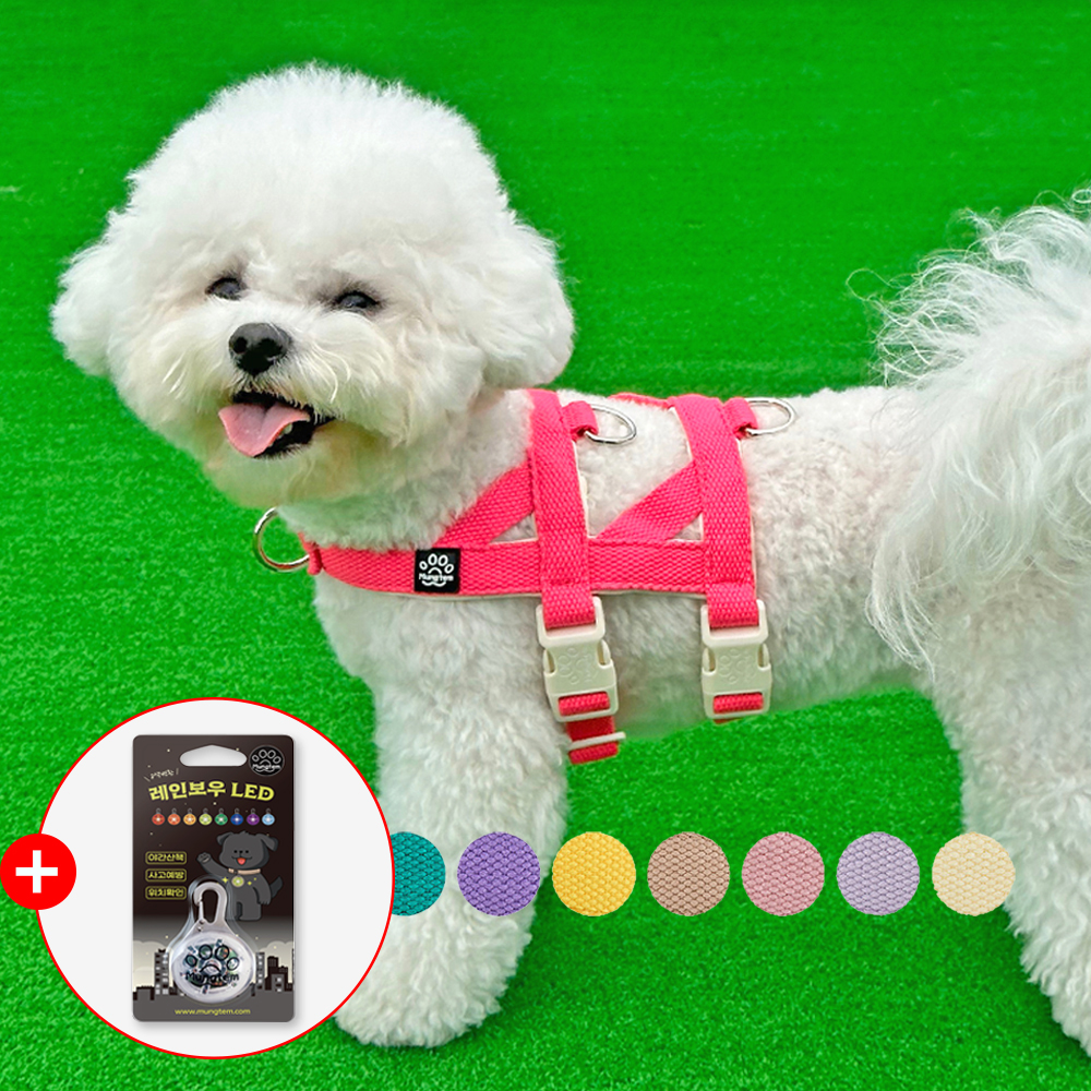 강아지 하네스 탈출방지 앞섬방지 소형견 관절보호 슬개골 앞고리 팔레트