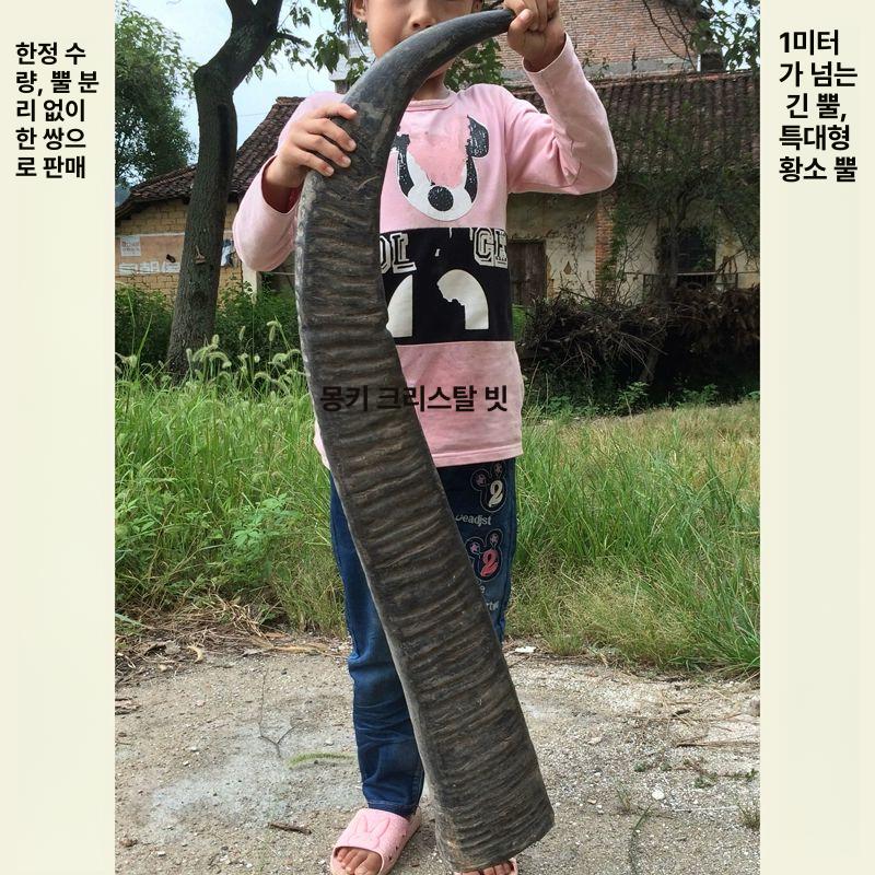 괄사 마사지 경락 물소뿔 조각 재료 지압봉 공예 폭 6~8cm 각 9개 태일 - 상세 이미지 5
