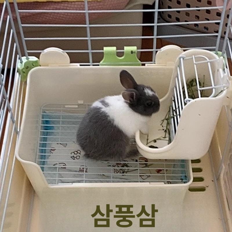 플라스틱 토끼 화장실 배변 상자 용품 소동물 애완 대변 철망 화장실 캔디화이트 - 상세 이미지 3