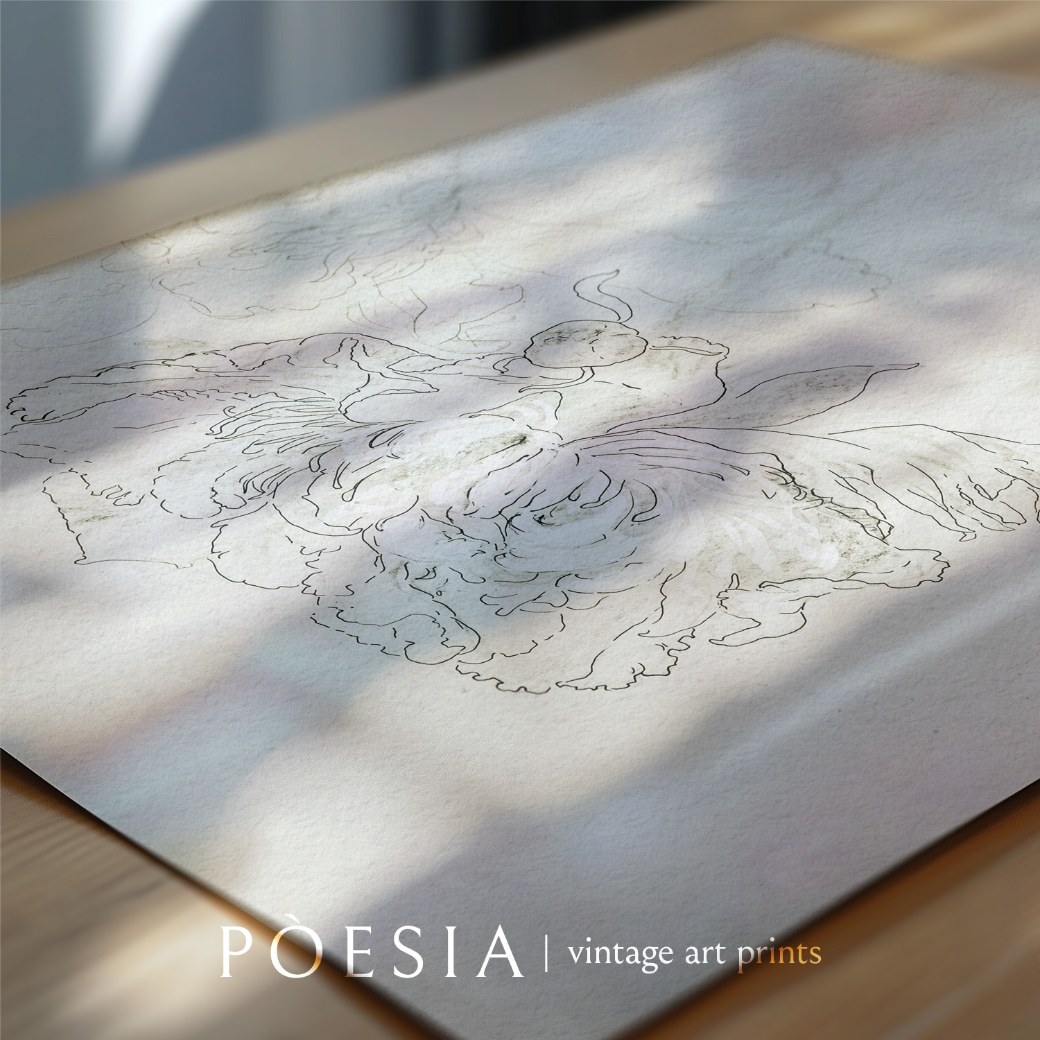[소피아 L. 크라운필드] Study of Peonies 지클리 아트 프린트 A3 (액자 포함) - 상세 이미지 5