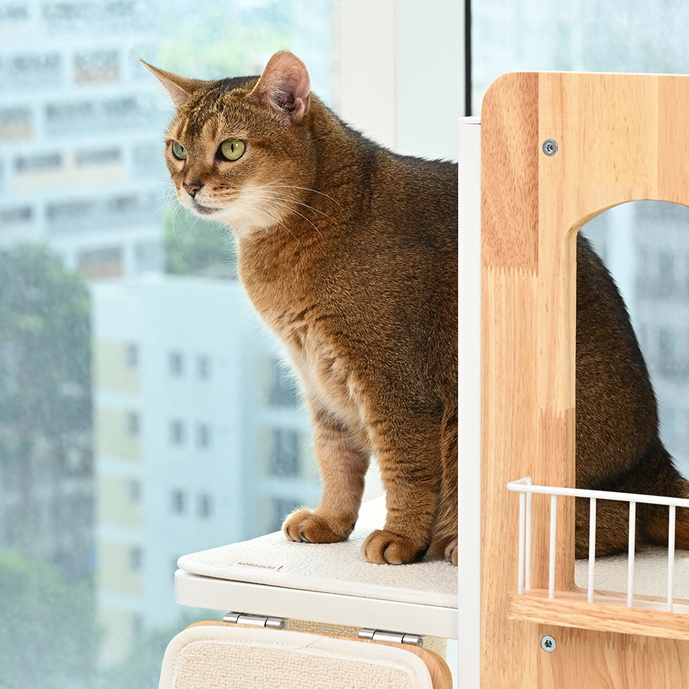 펫코본 캣타워 고양이 원목 숨숨집 캣폴 캣워크 소형