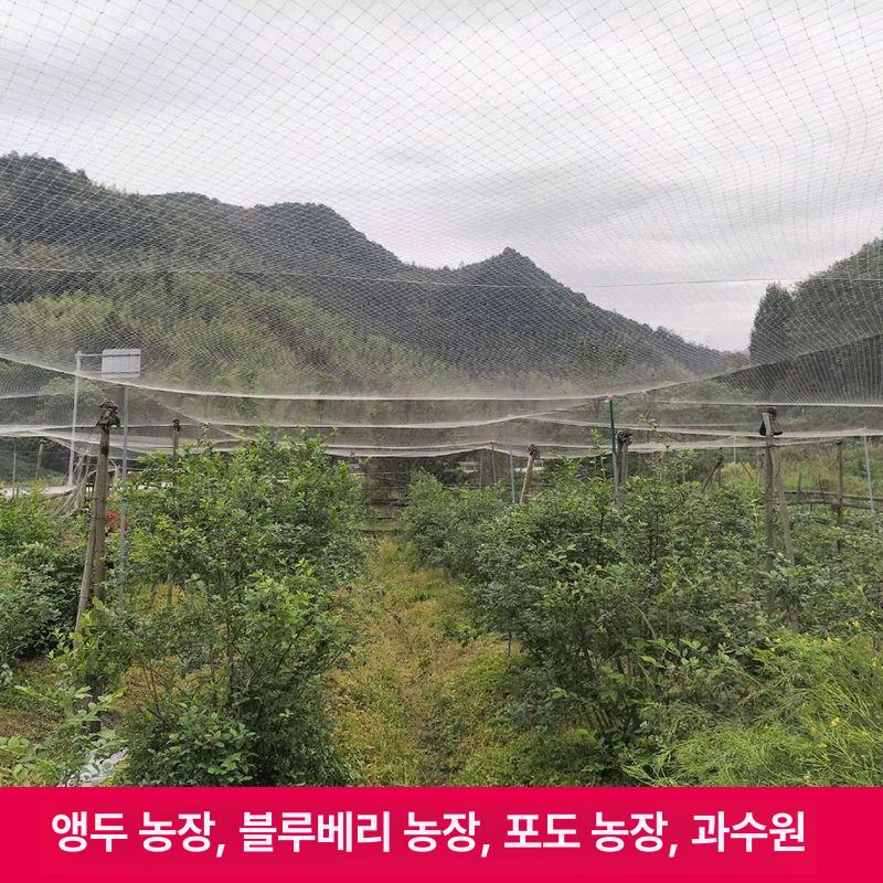 조류망 식물그물망 블루베리새망 농사용 새그물 텃밭 20mx50m 2.5메쉬 - 상세 이미지 5