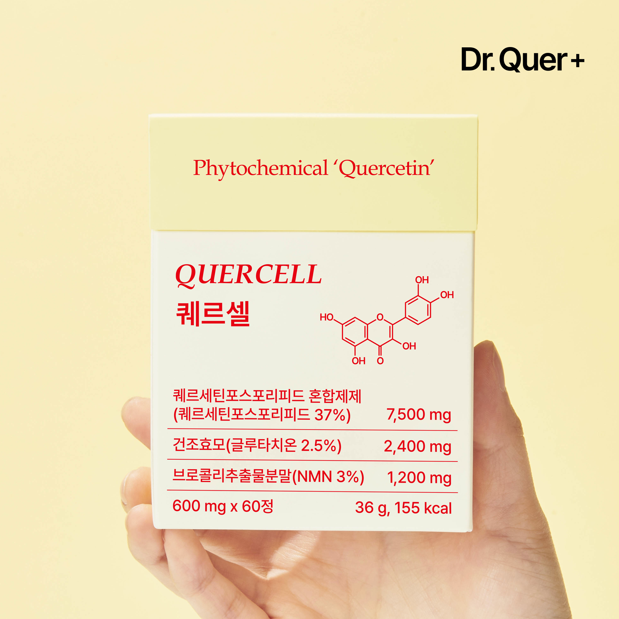 [선착순 추가 증정] 닥터퀘르퀘르셀 파이토솜 퀘르세틴 잔타닌 브로멜라인 NMN NK세포 영양제 60정, 1개