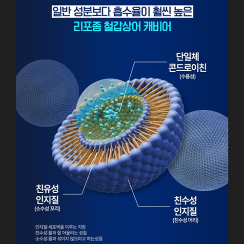 코오롱제약 리포좀 철갑상어 콘드로이친 120정 4개월 관절 연골 건강 콘드로이친황산염 효능 - 상세 이미지 4