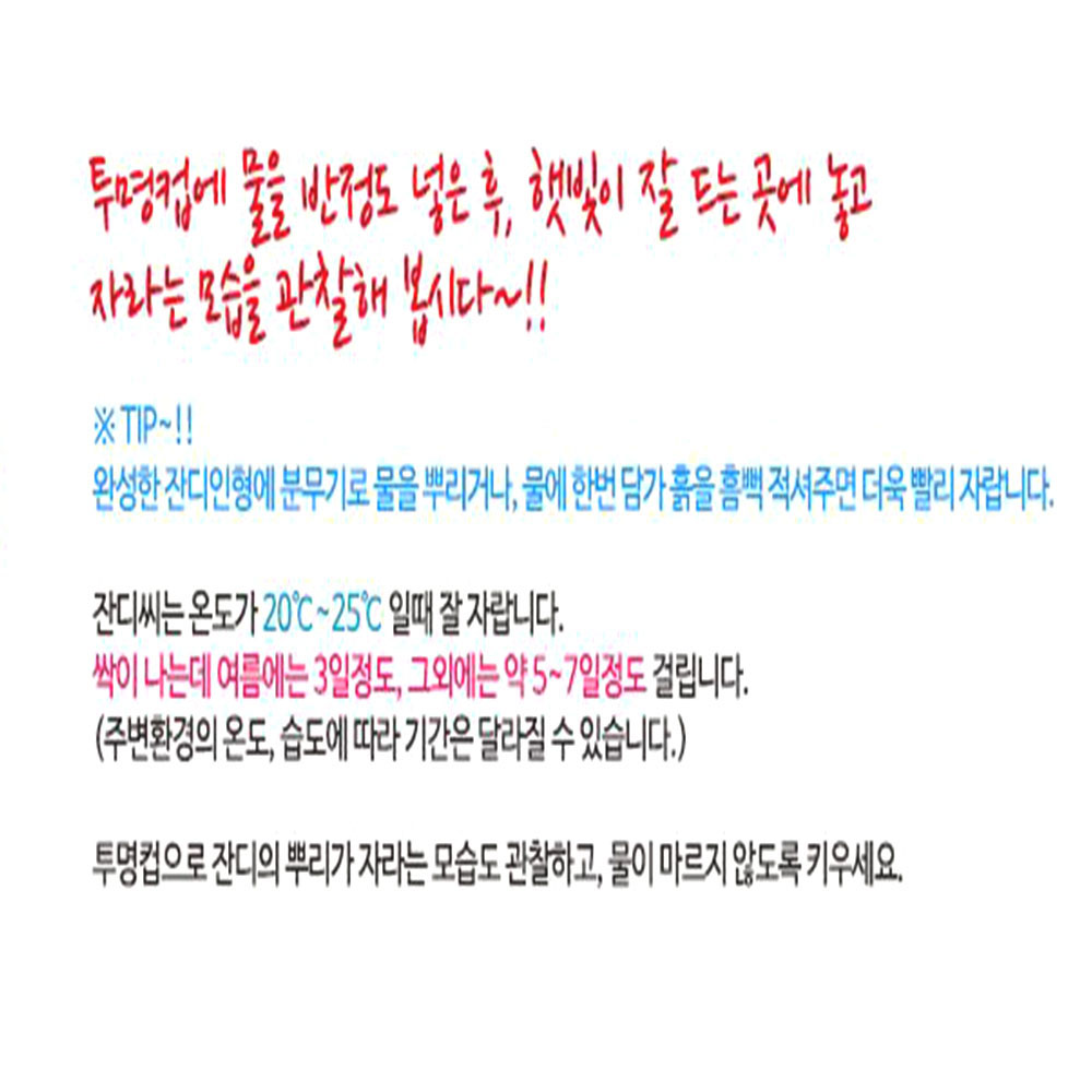 잔디인형 5인세트 실내 베란다 텃밭 식물키우기 유치원 어린이선물 감성화분키트 발아 창의력 - 상세 이미지 3
