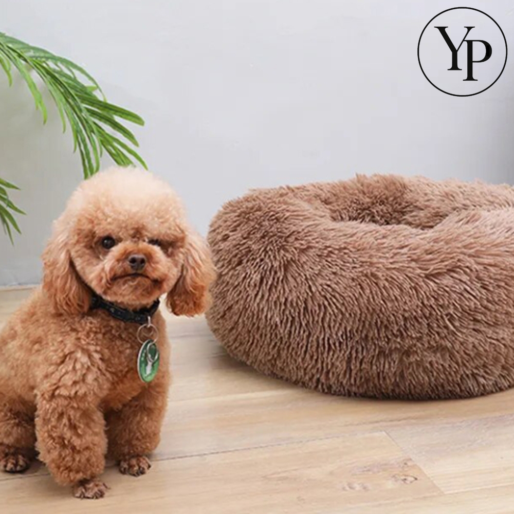 애완동물 도넛 방석 강아지 고양이 쿠션 빈백 S M 원형 하우스 침대 - 메인 이미지
