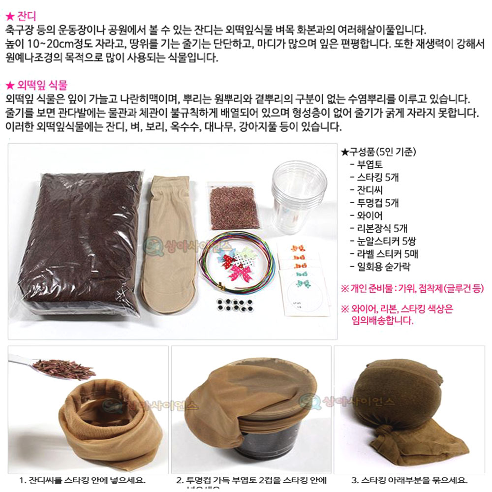 잔디인형 5인세트 실내 베란다 텃밭 식물키우기 유치원 어린이선물 감성화분키트 발아 창의력 - 상세 이미지 2