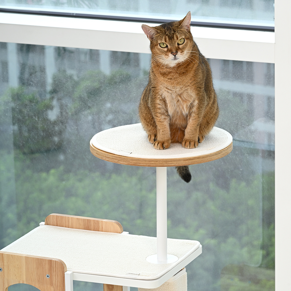 펫코본 캣타워 고양이 원목 숨숨집 캣폴 캣워크 소형