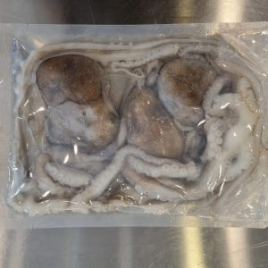 [국내산] 살아있을때 급냉시킨 뻘낙지 목포 냉동낙지 맛있게 먹은 솔직 후기 - 상품 이미지 3