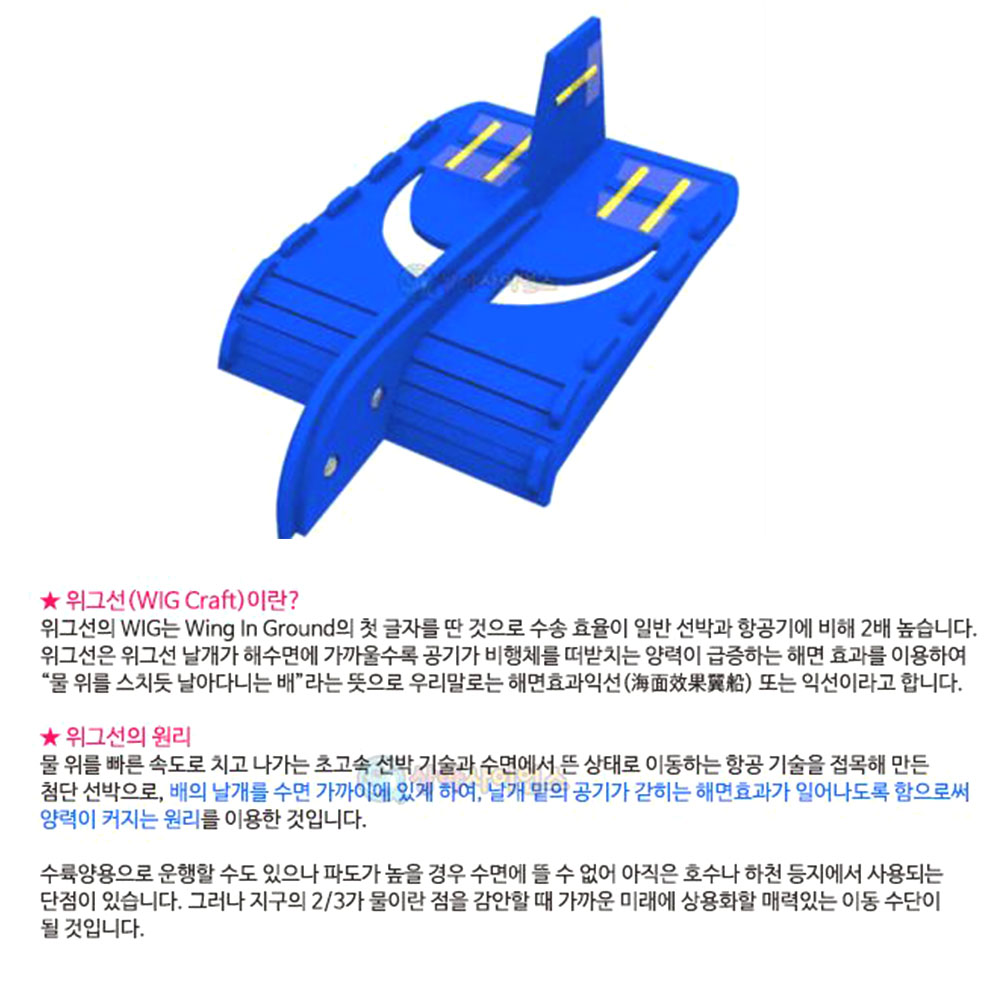 이글 위그선 만들기 날개 EVA 비행체 양력 수륙양용 해면효과익선 배 보트 원리학습 - 상세 이미지 2