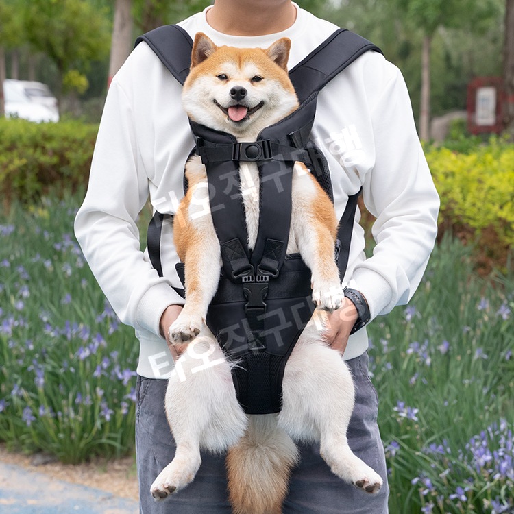 강아지프론트백 고양이 가방 애견 산책 산책가방 애견가방 이동장 이동가방 슬링백 - 상품 이미지