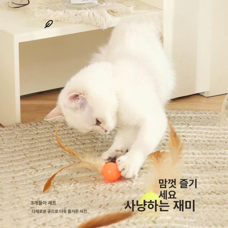 고양이 장난감 깃털 보존 알튀김 놀이 볼 피단 축구공+블루볼+배구공 - 상세 이미지 4
