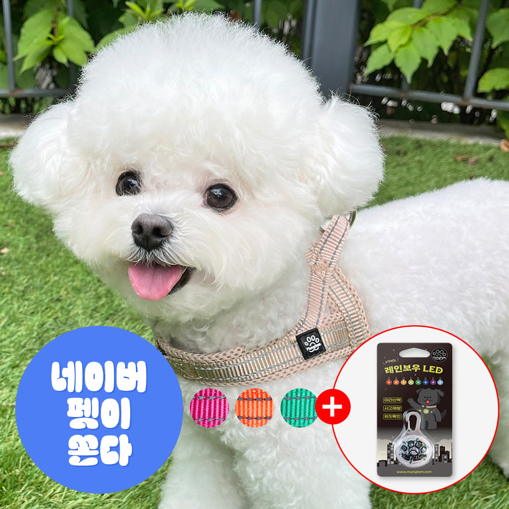 강아지 하네스 앞섬방지 앞고리 가슴줄 XXS 소형견