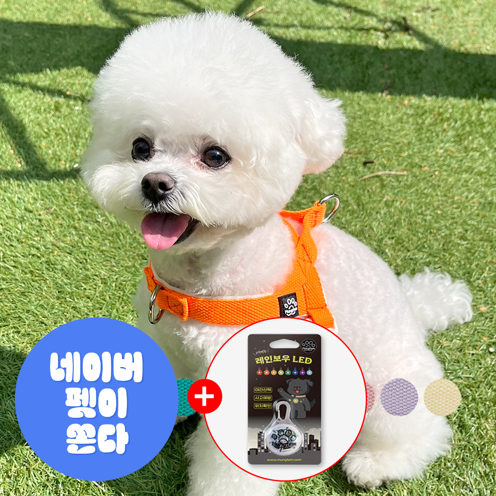강아지 하네스 앞섬방지 앞고리 소형견 팔레트