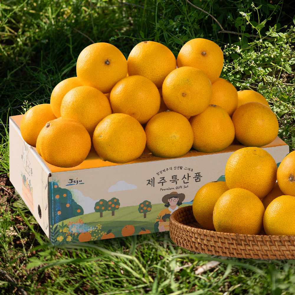 제주 황금향 귤 한라봉 레드향 카라향 천혜향 감귤 선물세트