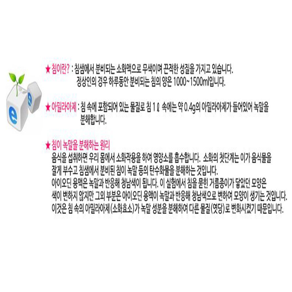아밀라아제 모양 만들기 5인세트 침샘 분비 녹말 탄수화물 분해 소화작용 영양소 아이오딘 - 상세 이미지 3