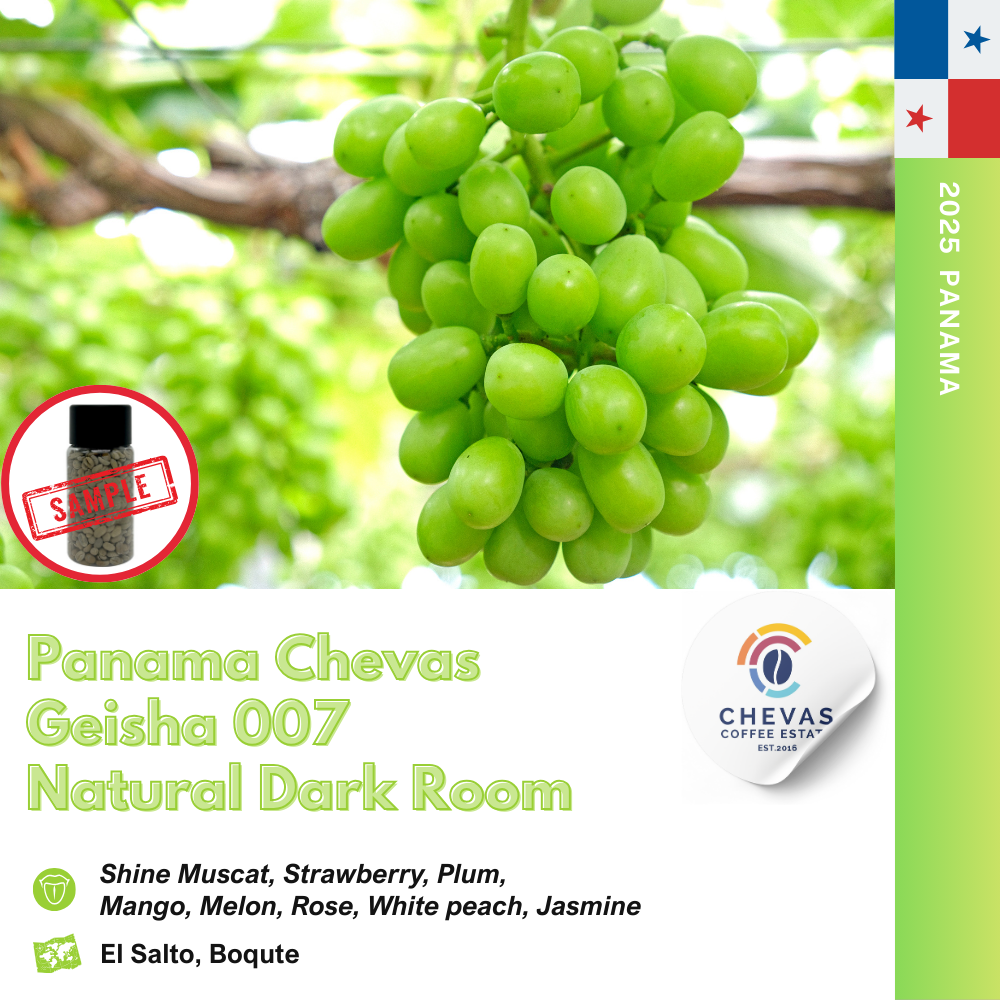 파나마 체바스 게이샤 내추럴 다크룸 007