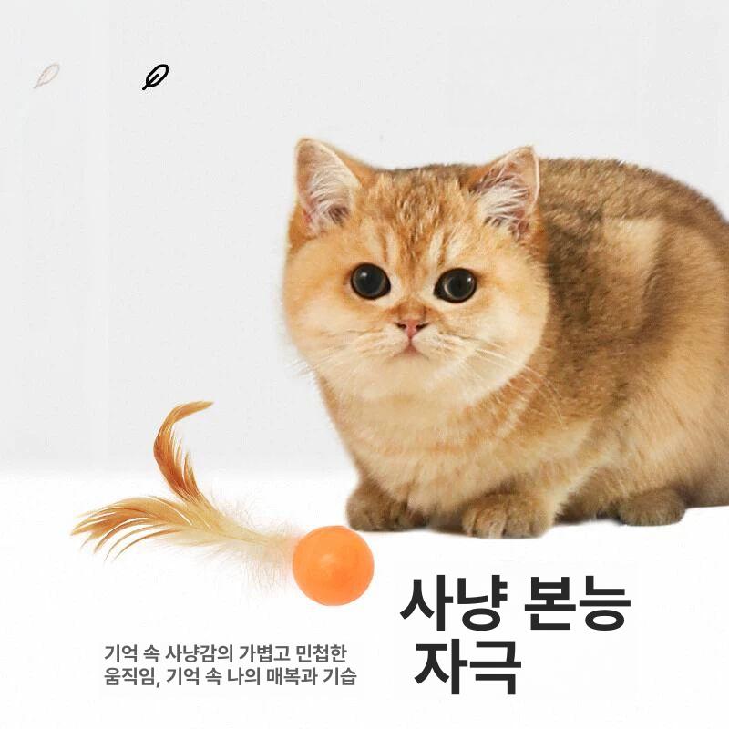 고양이 장난감 깃털 보존 알튀김 놀이 볼 피단 축구공+블루볼+배구공 - 상세 이미지 3